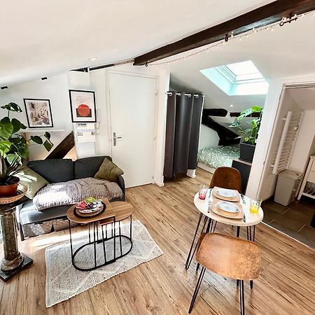 Loft Hortensia Hyper Centre Castres 卡斯特尔 外观 照片
