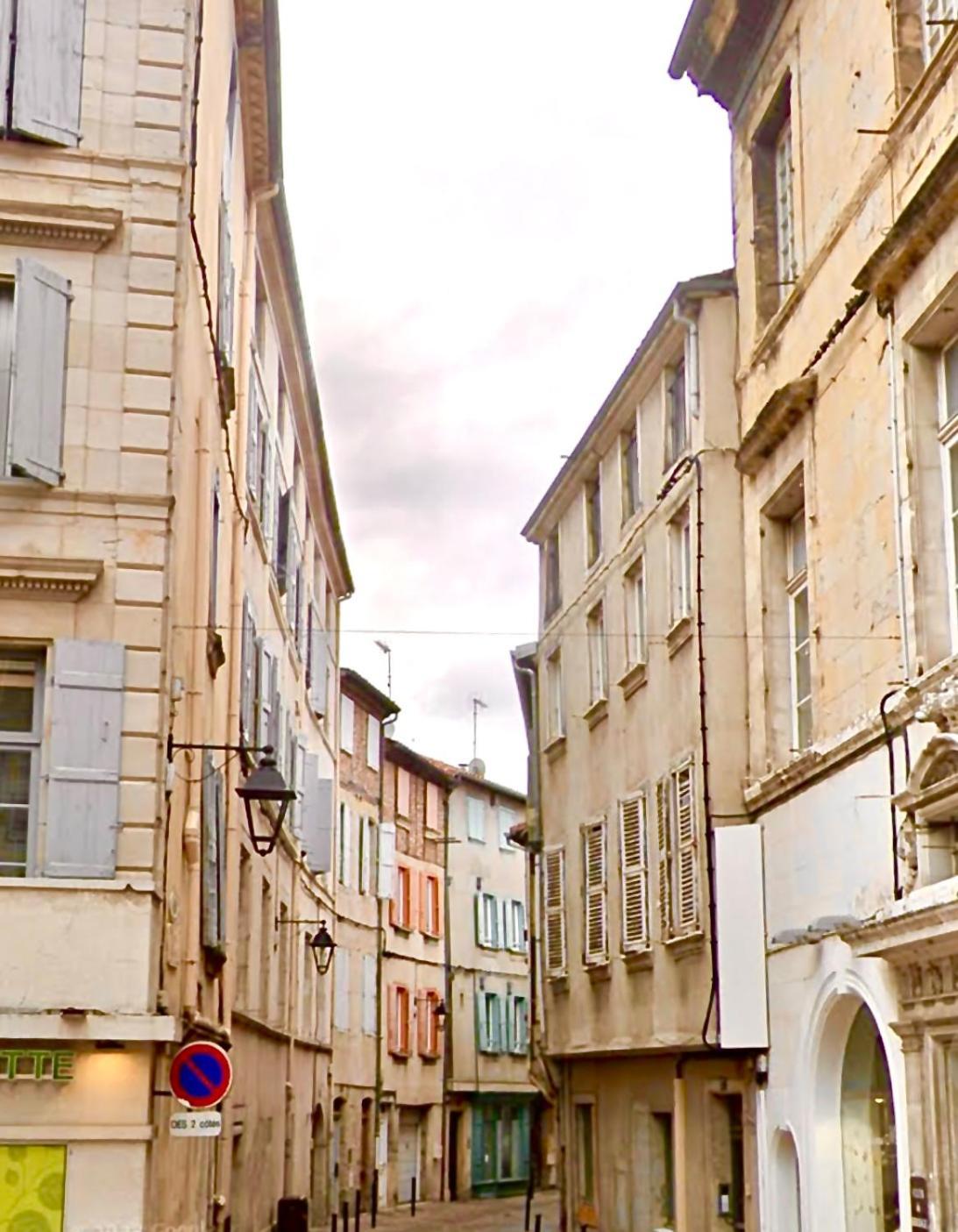 Loft Hortensia Hyper Centre Castres 卡斯特尔 外观 照片