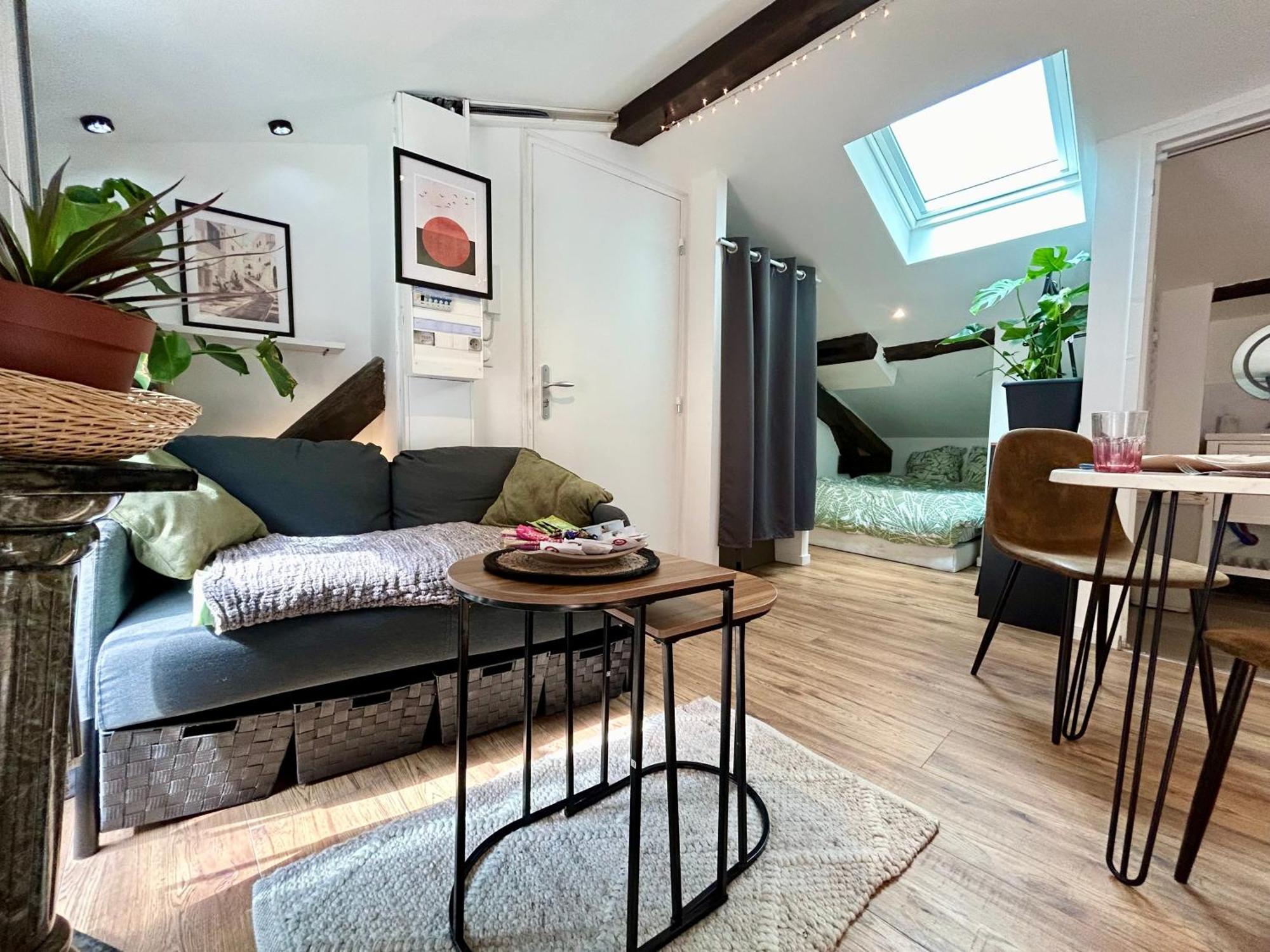 Loft Hortensia Hyper Centre Castres 卡斯特尔 外观 照片
