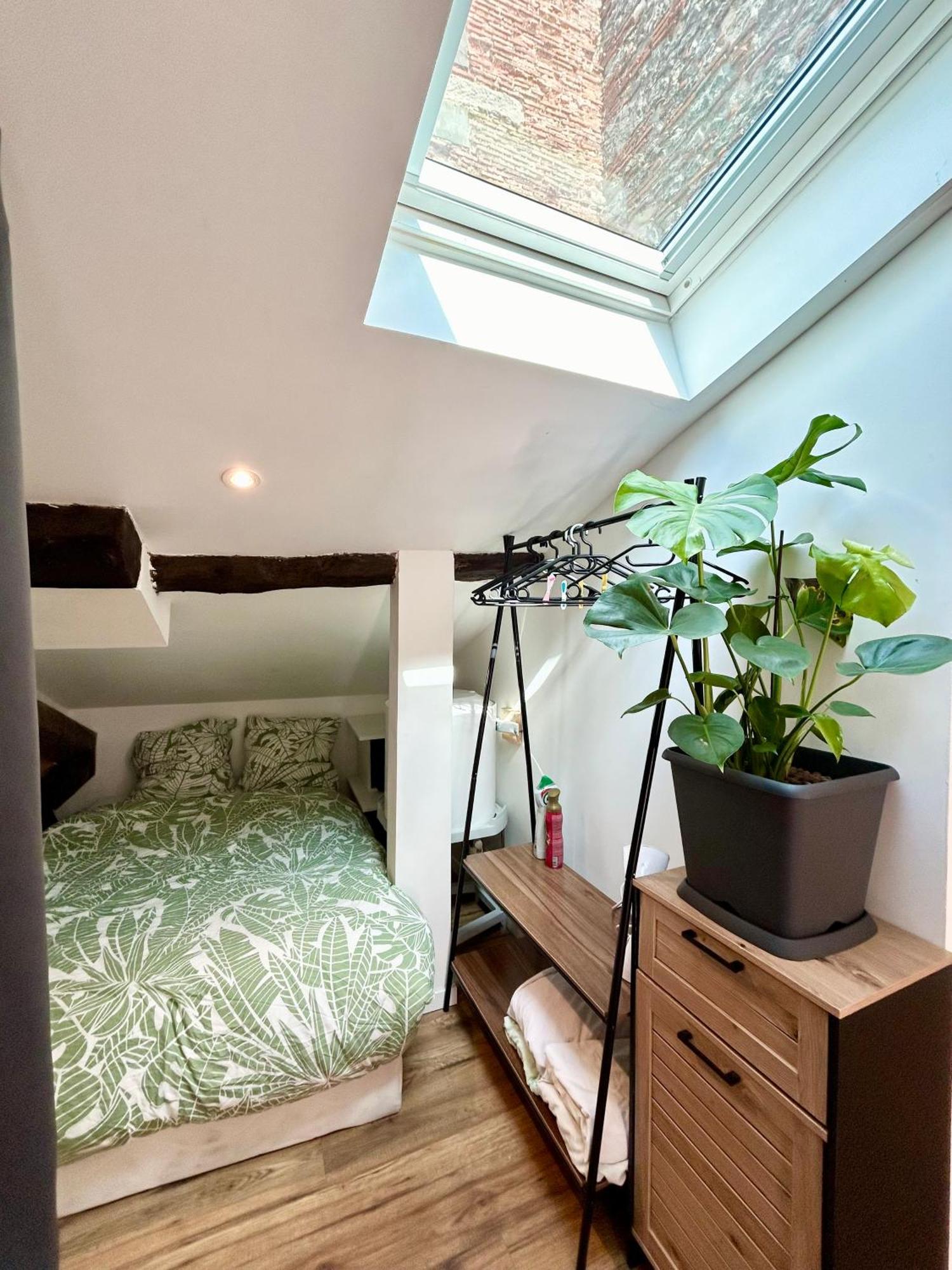 Loft Hortensia Hyper Centre Castres 卡斯特尔 外观 照片